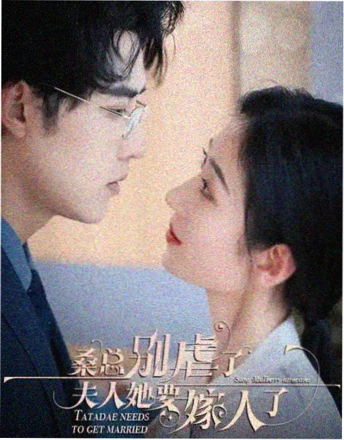 韶华若锦电视剧免费观看 资讯封面